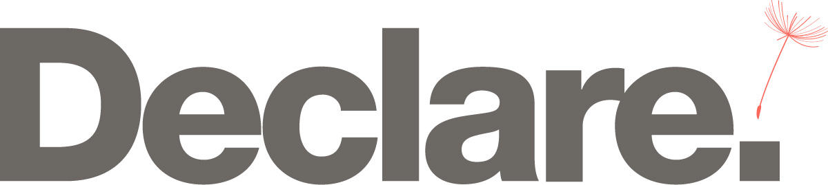 2021 Declare Web Logo