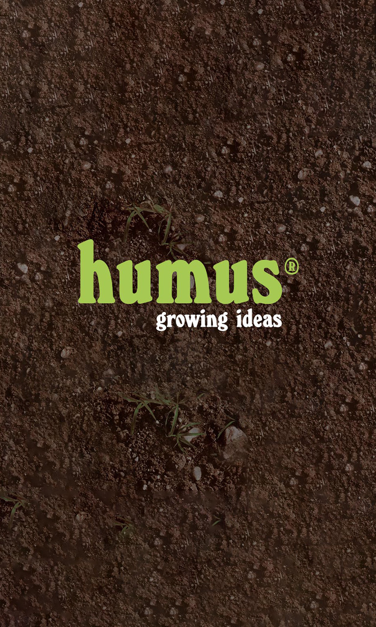 humus_768x1280px